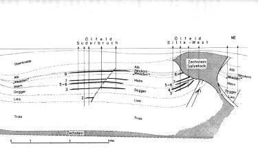 Geologischer Schnitt durch das Erdölfeld Suderbruch. Aus Boigk (1981)